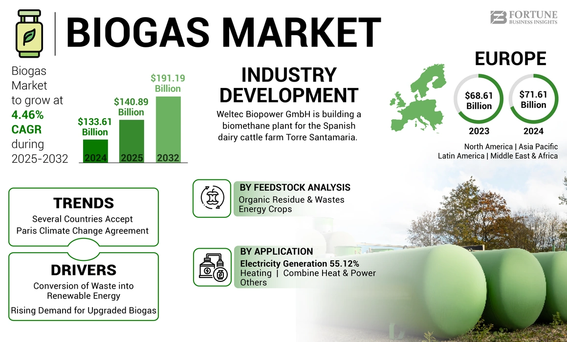 Biogas Market