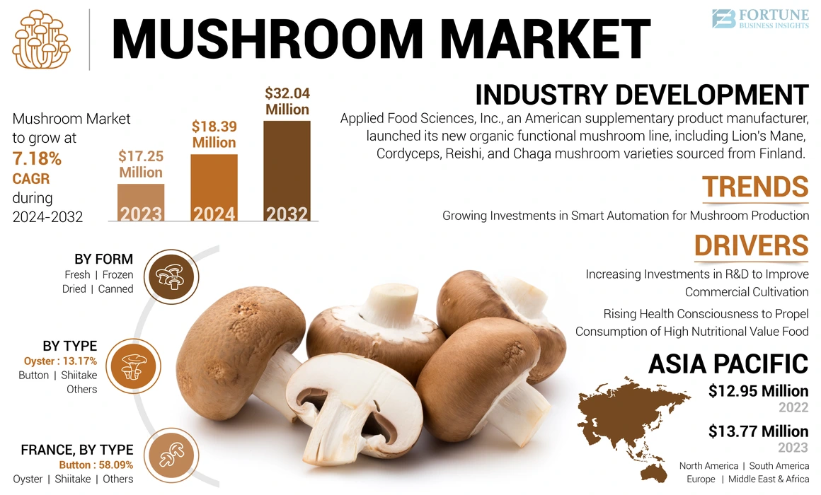Mushroom Market