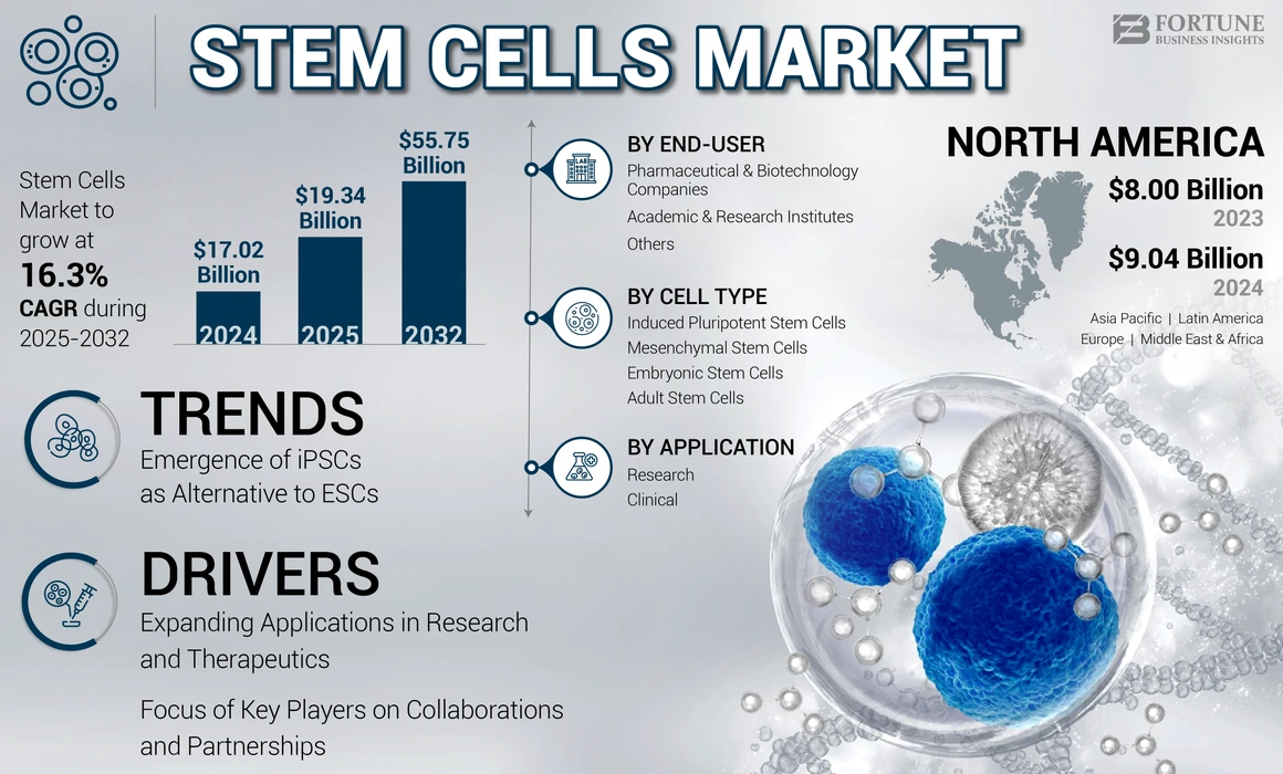 Stem Cells Market