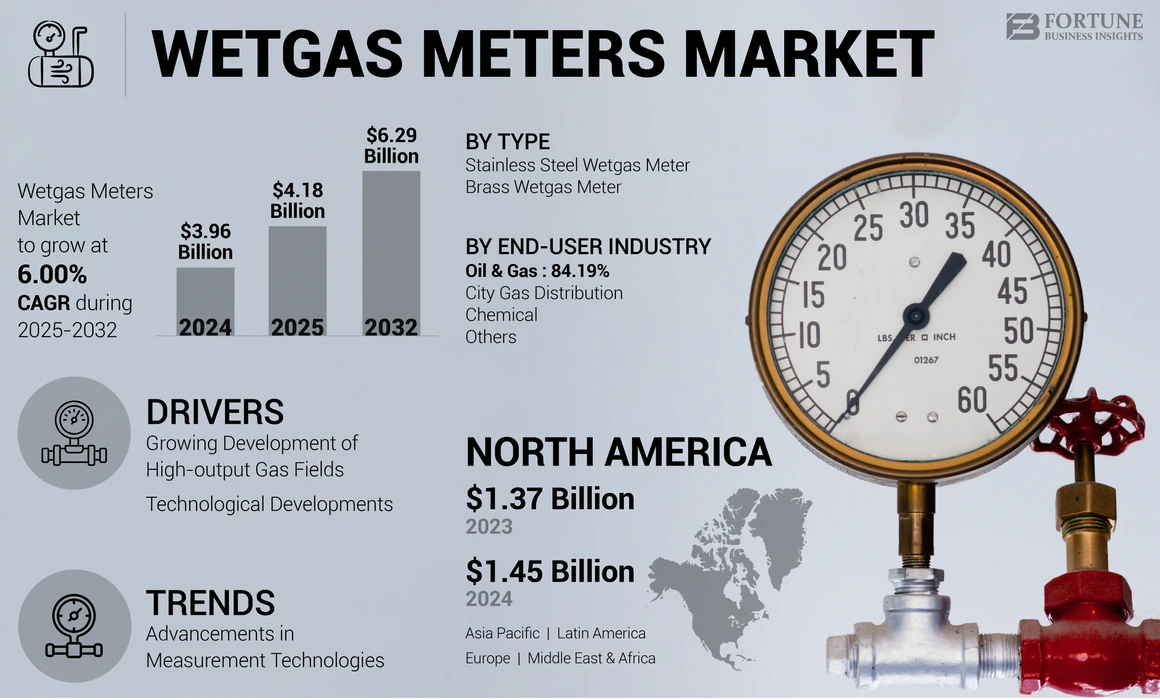 Wetgas Meters Market