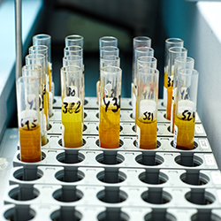 Person holding walkie-talkie