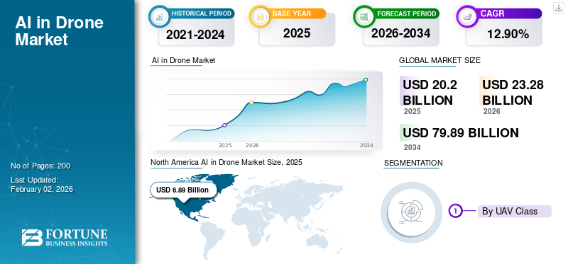 AI in Drone Market