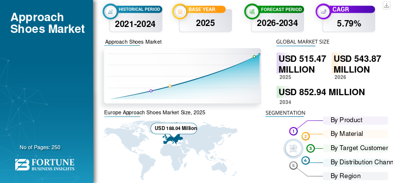 Approach Shoes Market