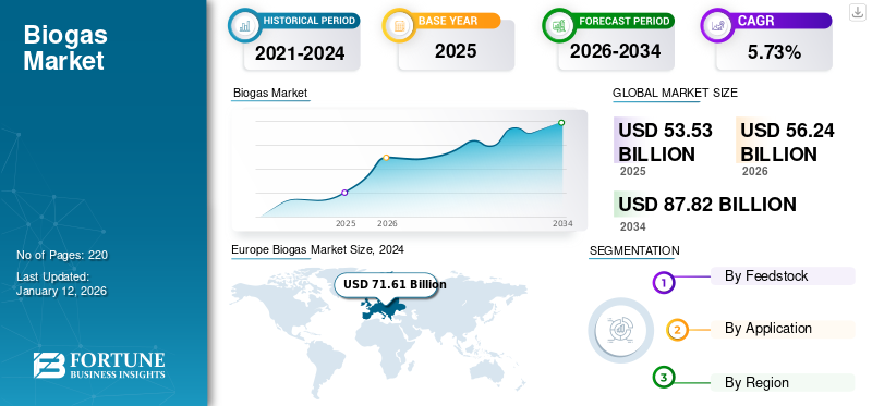 Biogas Market