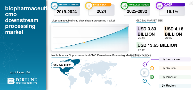 biopharmaceutical cmo downstream processing market