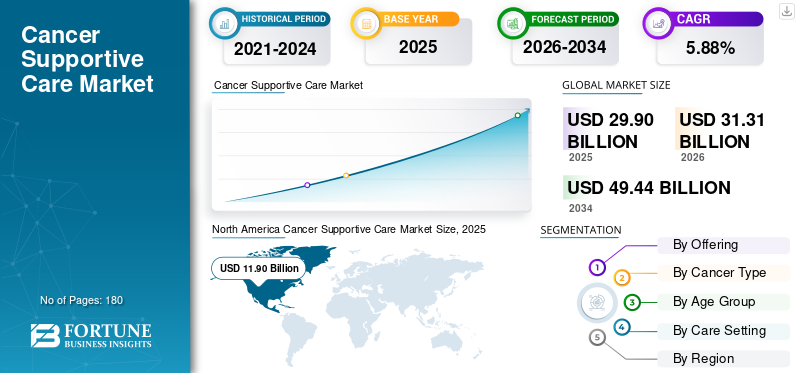 Cancer Supportive Care Market