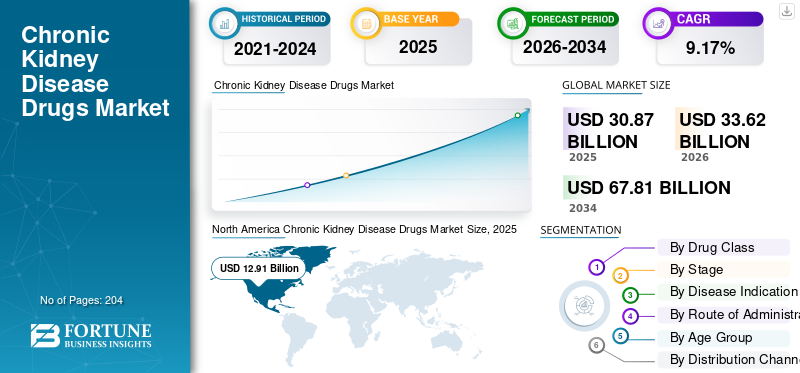 Chronic Kidney Disease Drugs Market