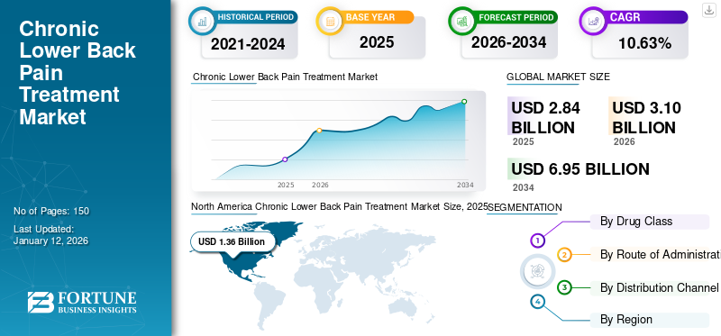 Chronic Lower Back Pain Treatment Market 