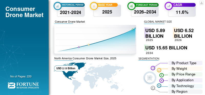 Consumer Drone Market