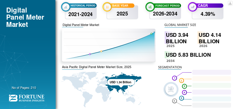 Digital Panel Meter Market 