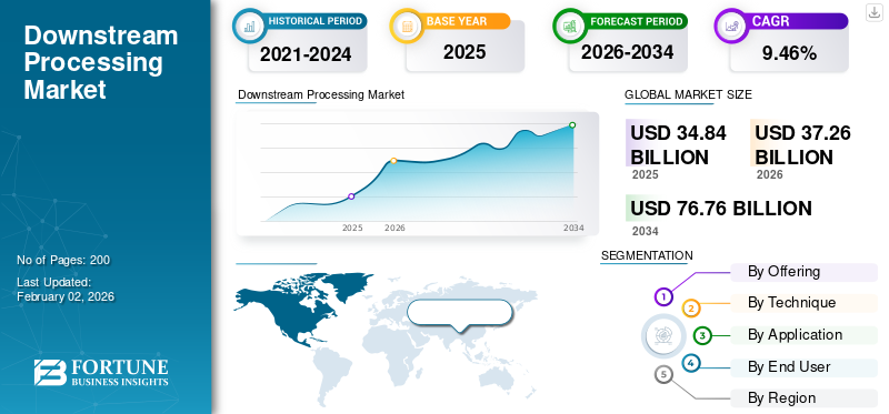 Downstream Processing Market
