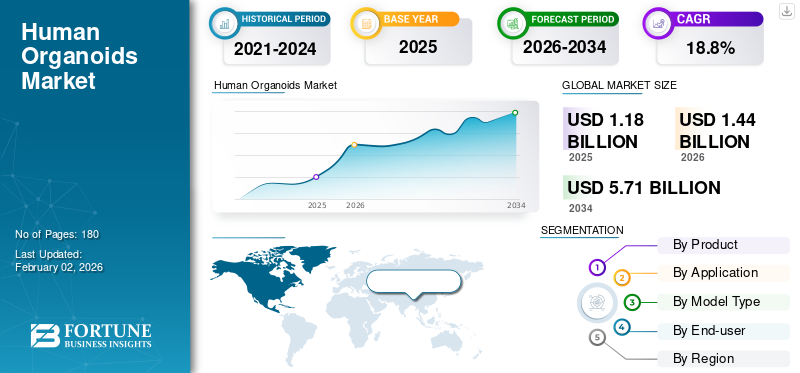 Human Organoids Market