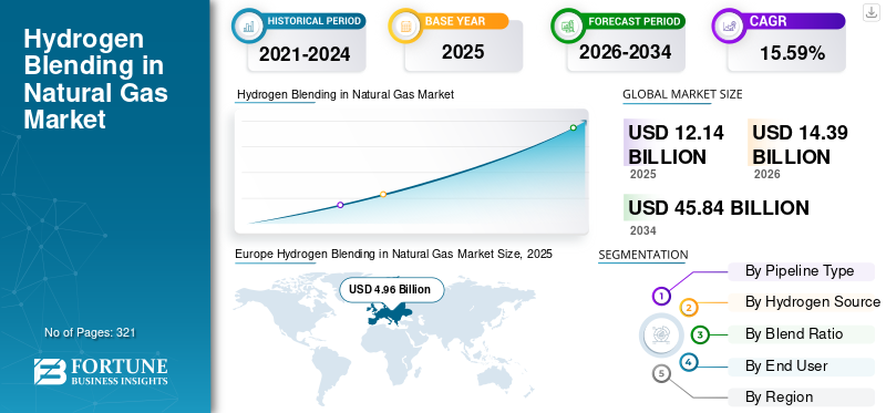 Hydrogen Blending in Natural Gas Market
