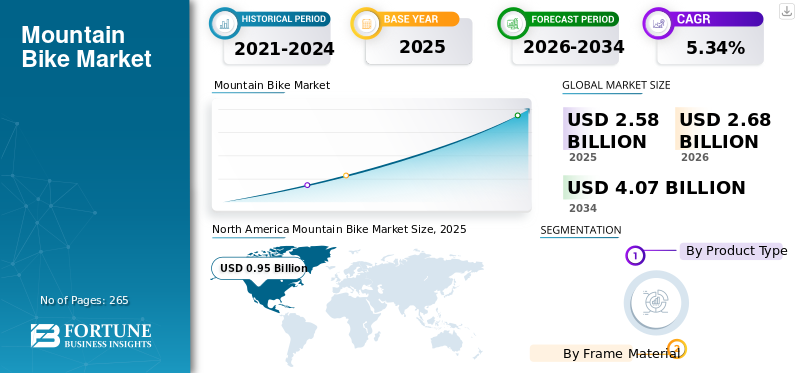 Mountain Bike Market 