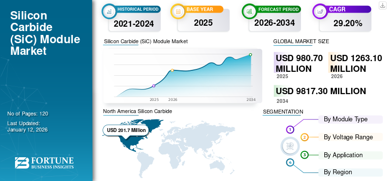 Silicon Carbide (SiC) Module Market