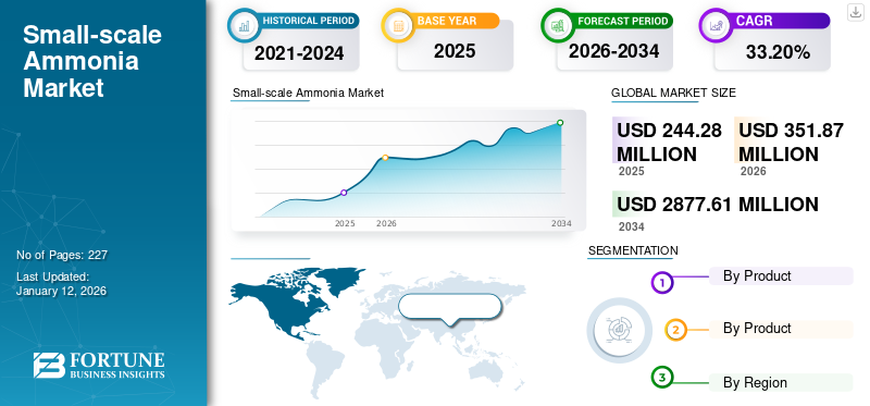 Small-scale Ammonia Market