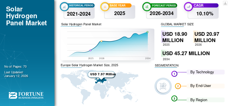 Solar Hydrogen Panel Market