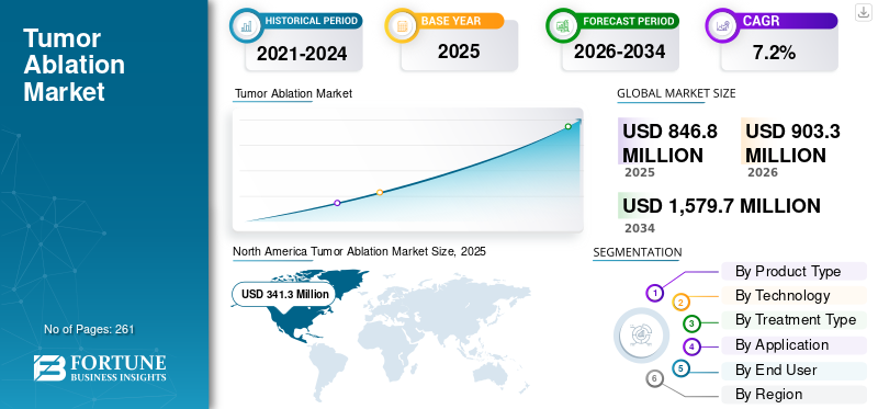 Tumor Ablation Market