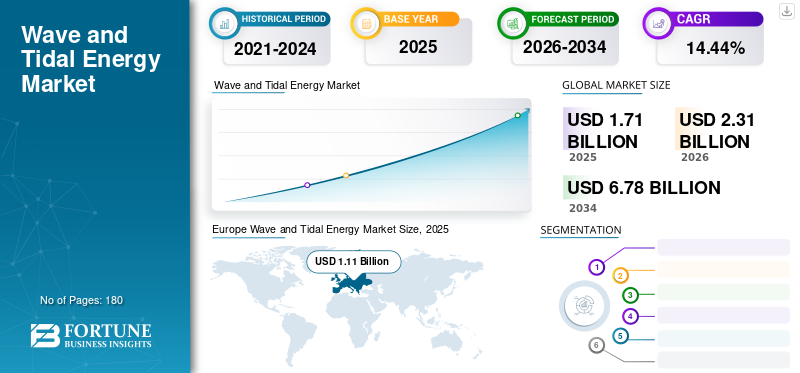 Wave and Tidal Energy Market