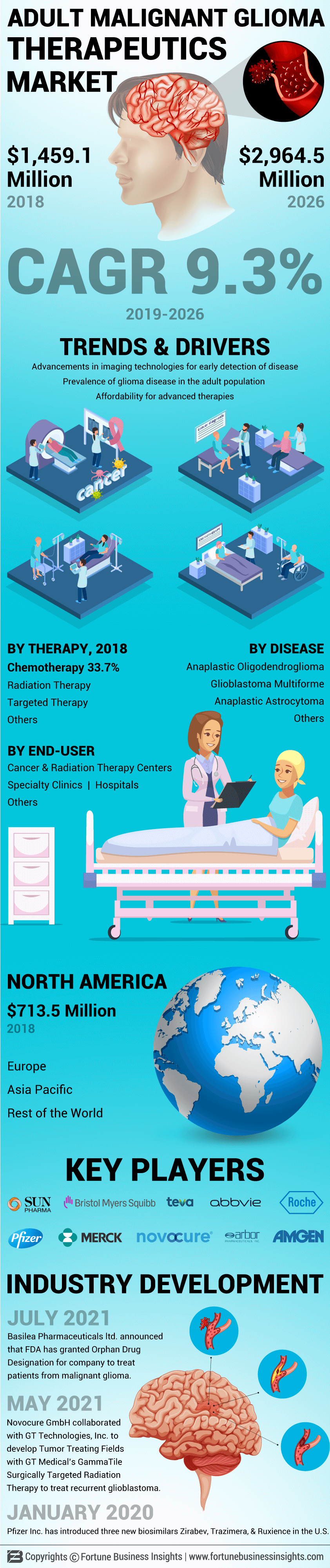 Adult Malignant Glioma Therapeutics Market