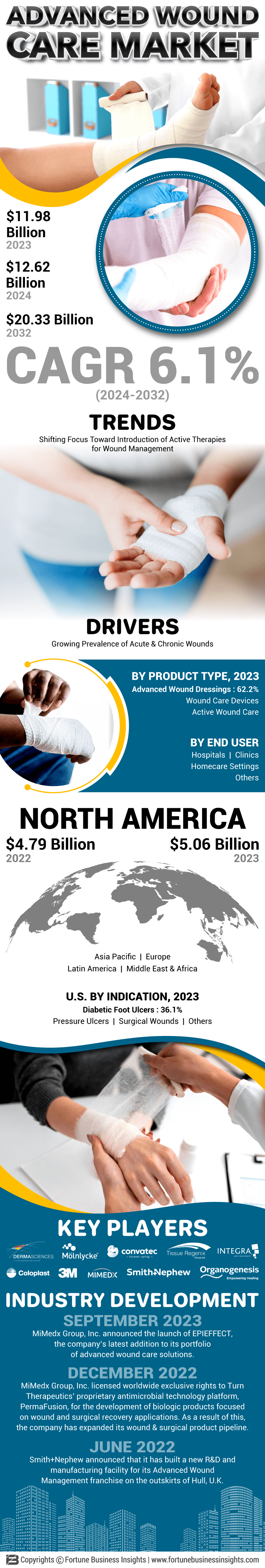 Advanced Wound Care Market
