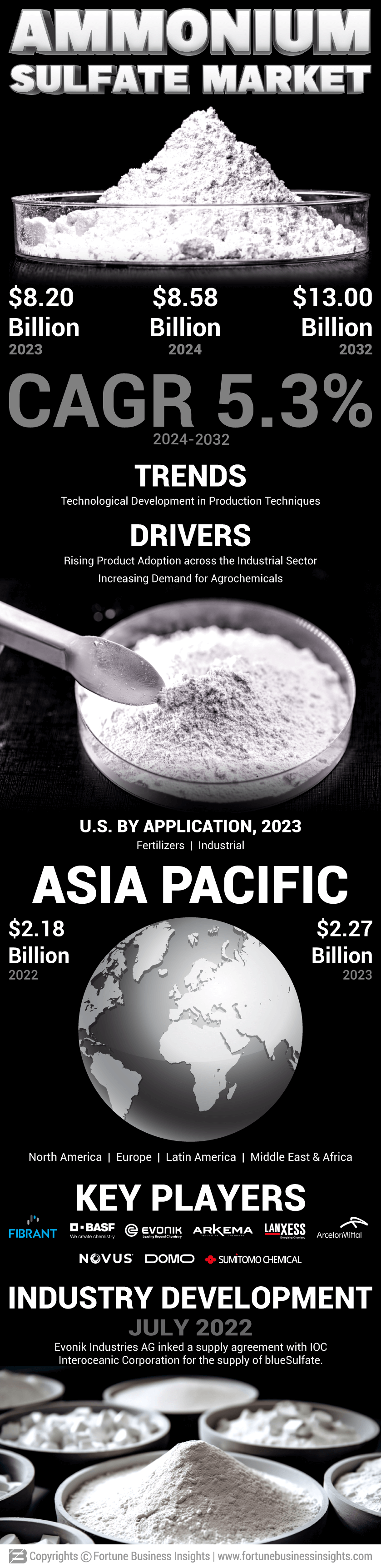Ammonium sulphate Market
