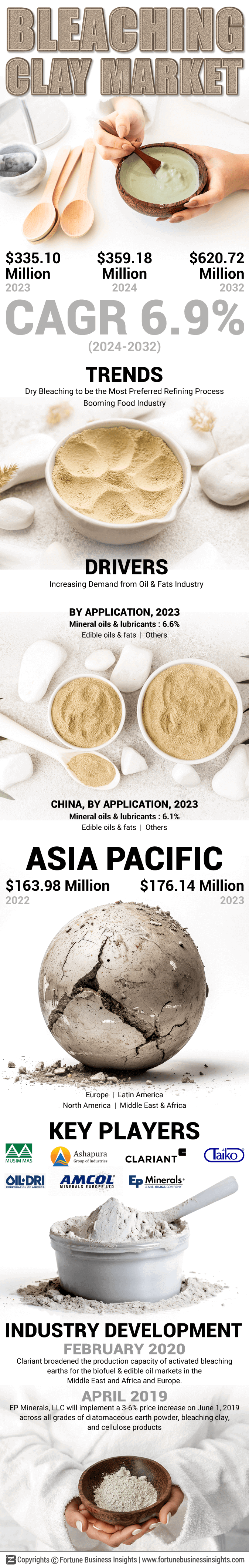 Bleaching Clay Market