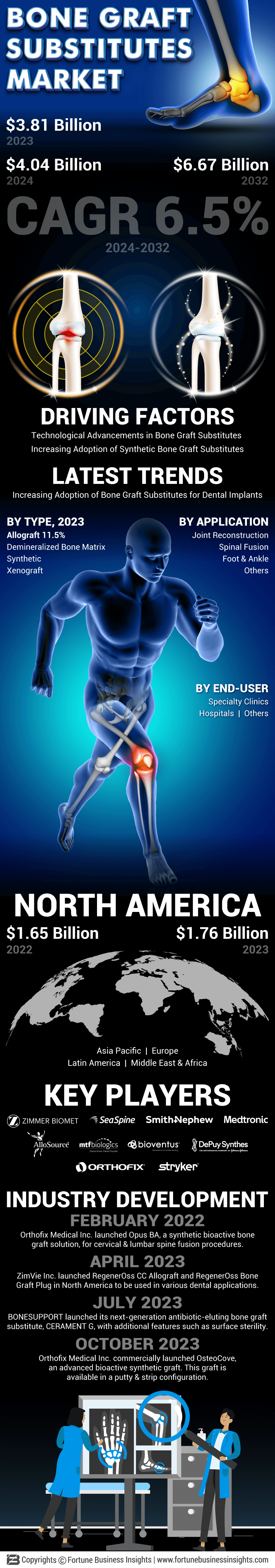 Bone Graft Substitutes Market