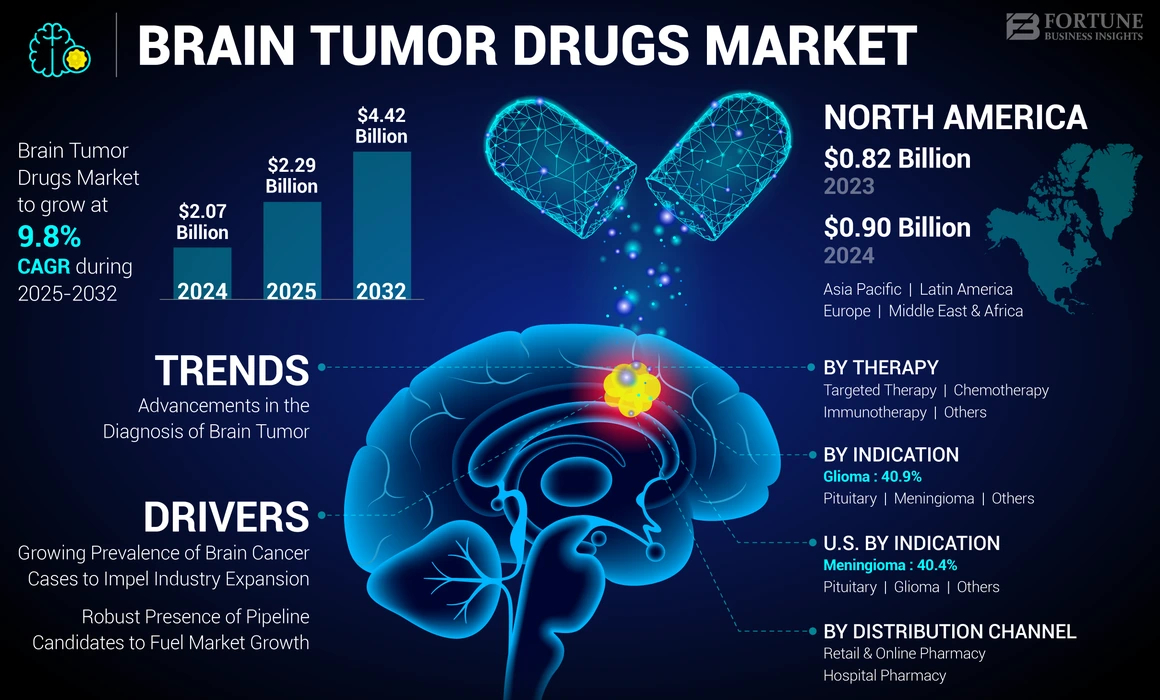 Brain Tumor Drugs Market
