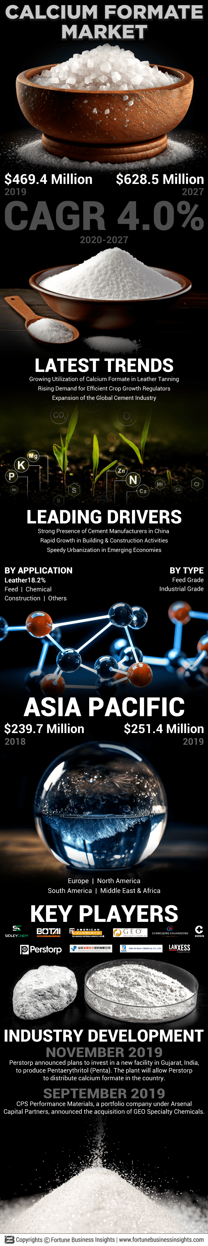 Calcium Formate Market