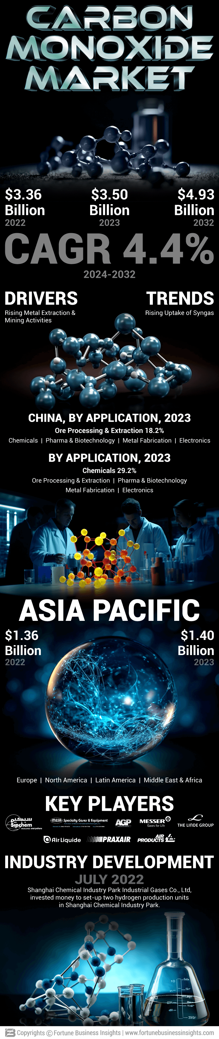 Carbon Monoxide Market