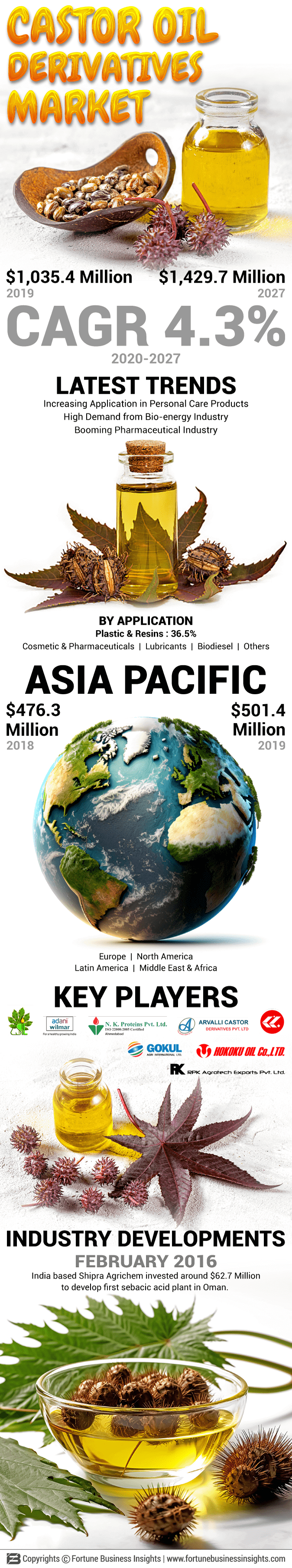 Castor Oil Derivatives Market