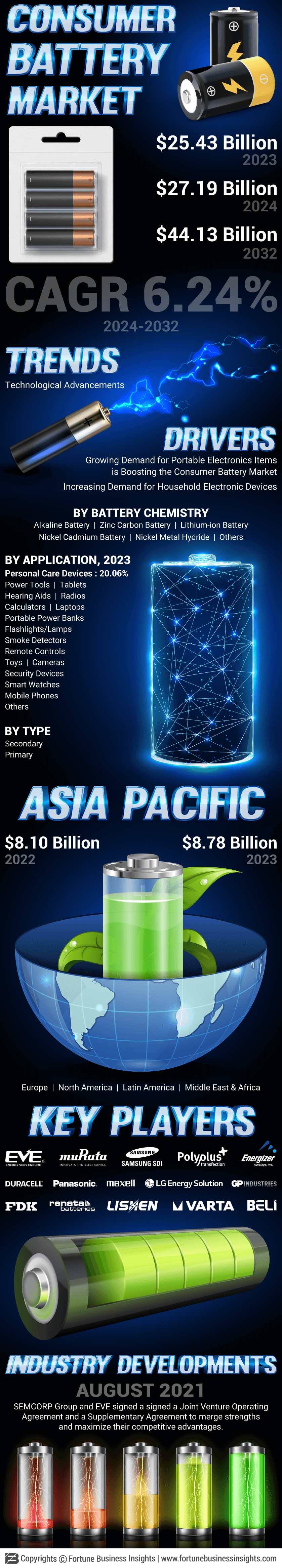 Consumer Battery Market