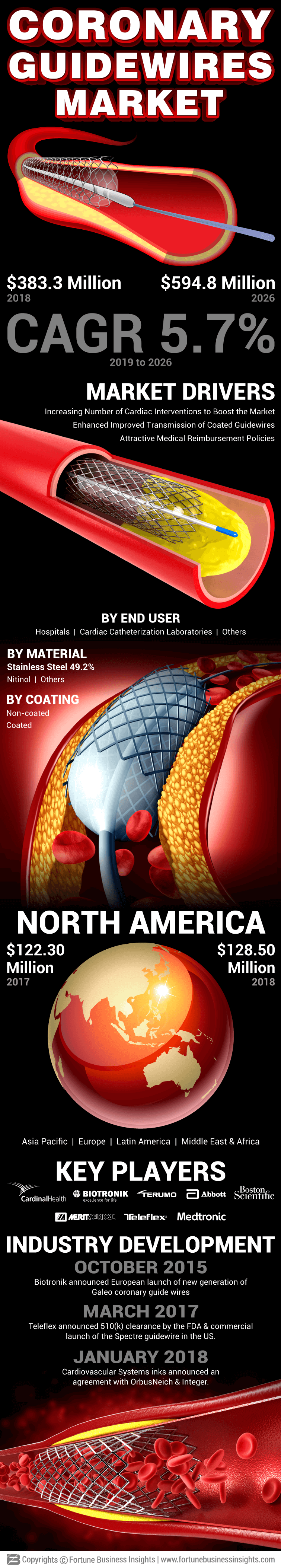 Coronary Guidewires Market