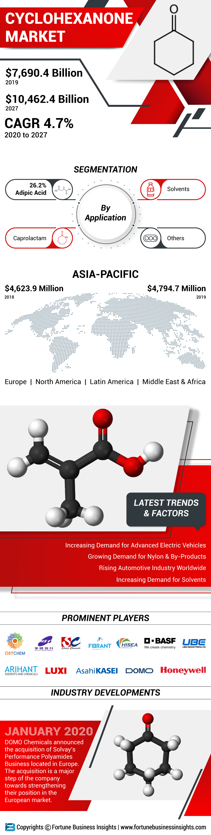 Cyclohexanone Market