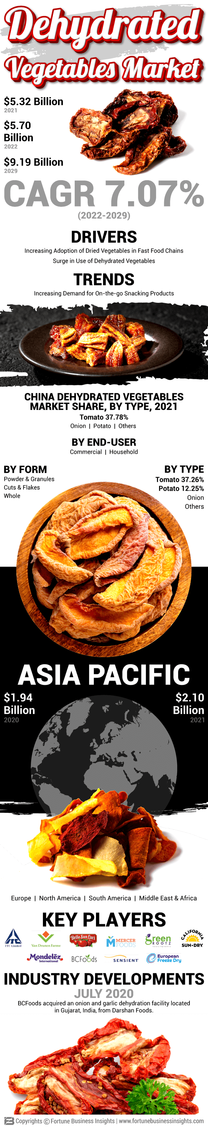 Dehydrated Vegetable Market 