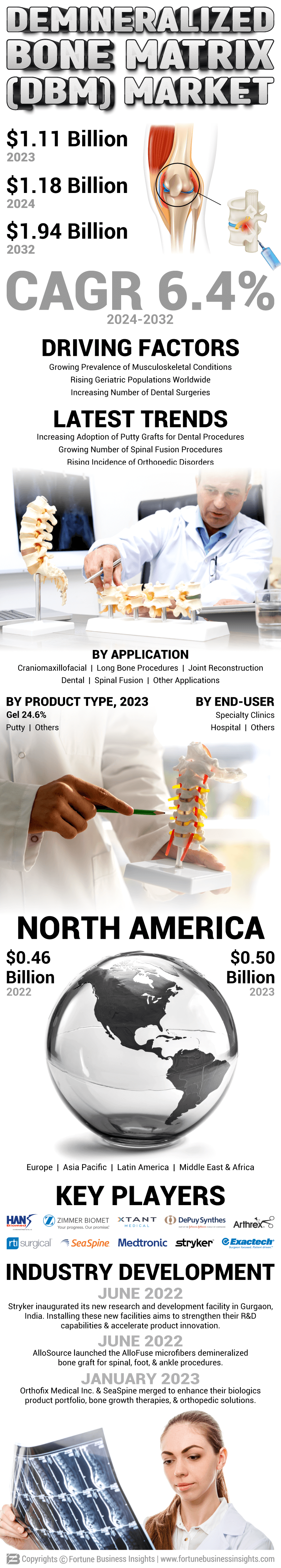 Demineralized Bone Matrix (DBM) Market