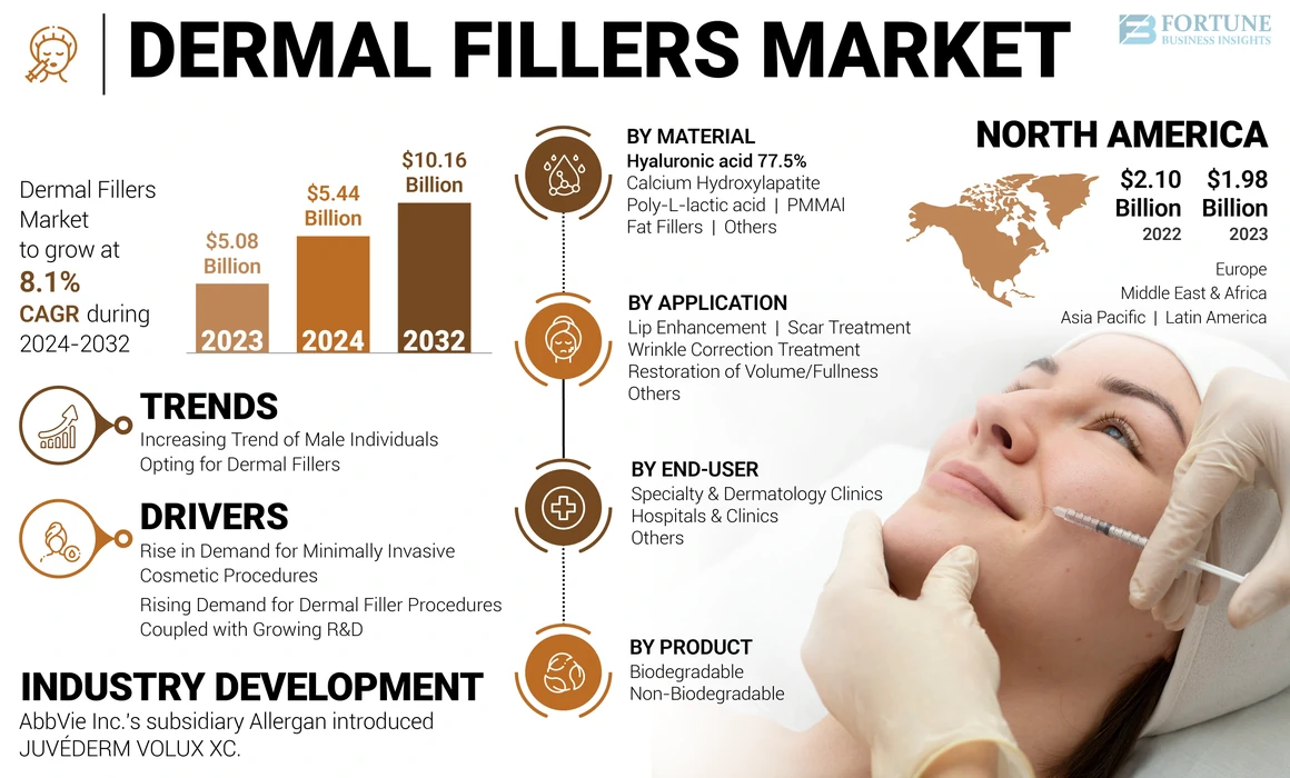 Dermal Fillers Market