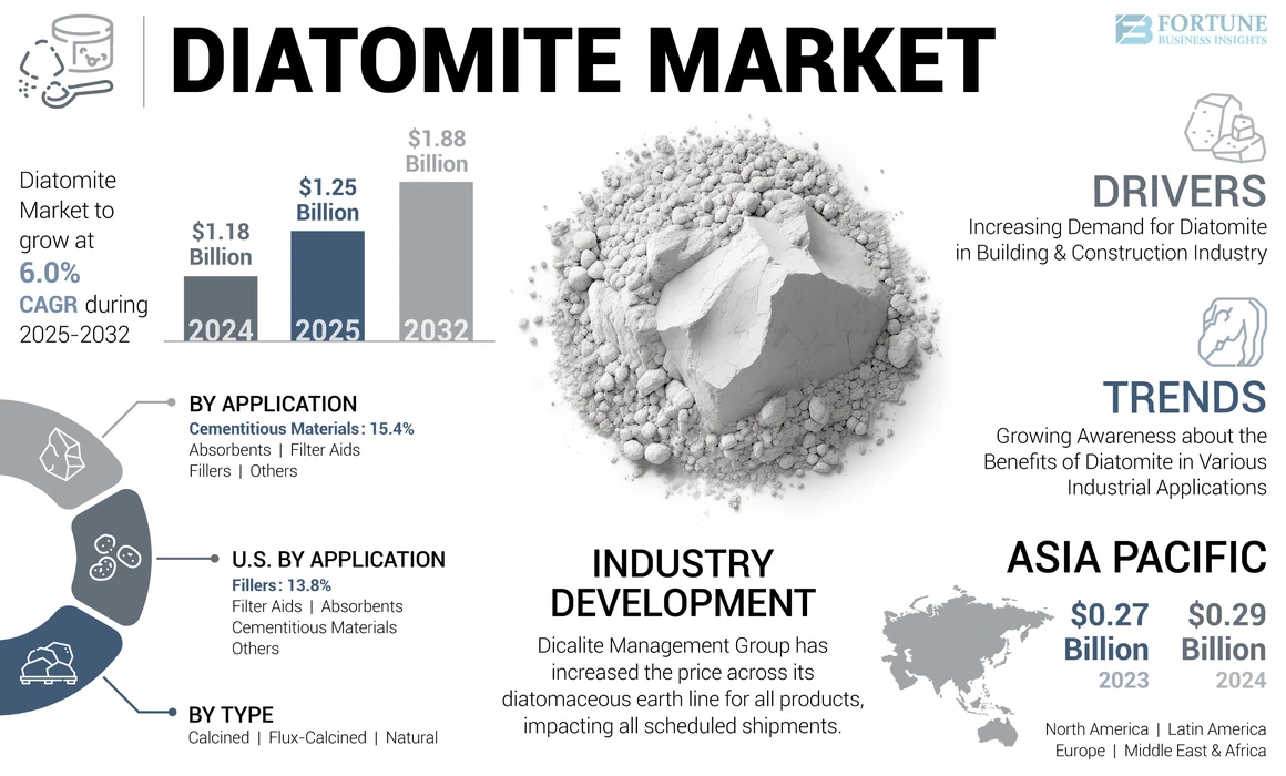 Diatomite Market 