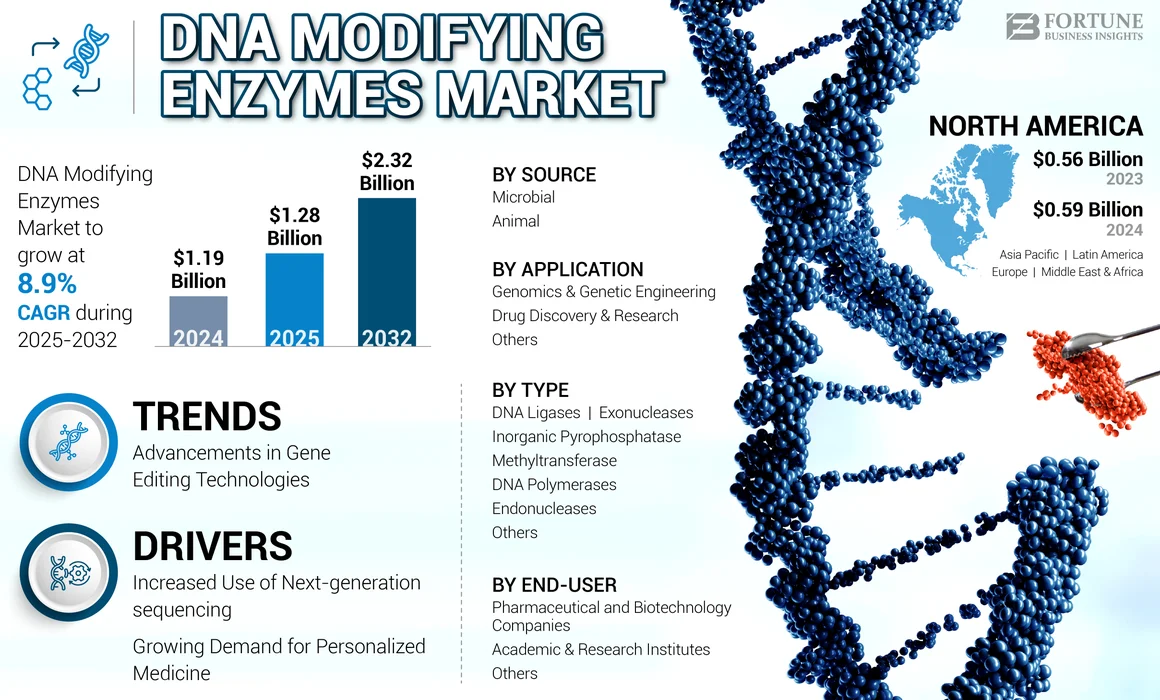 DNA Modifying Enzymes Market