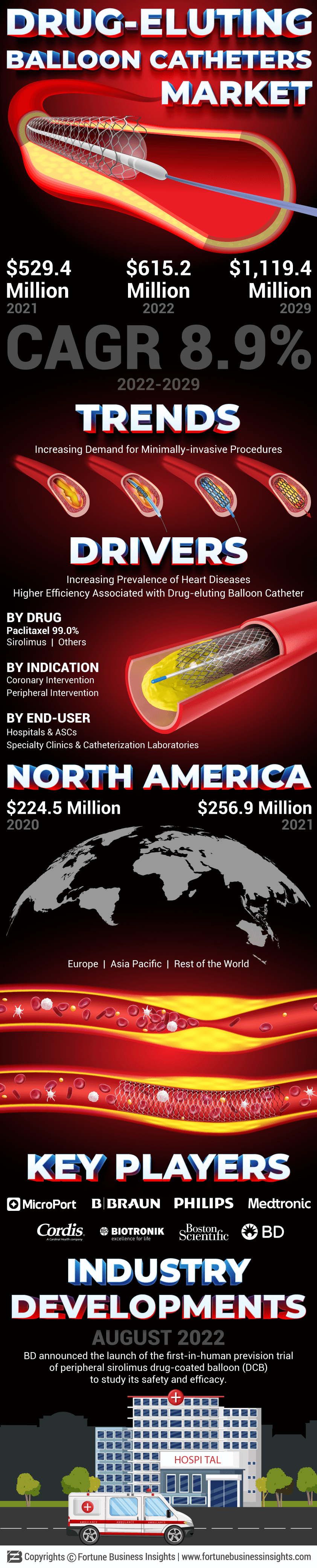 Drug-eluting Balloon Catheters Market