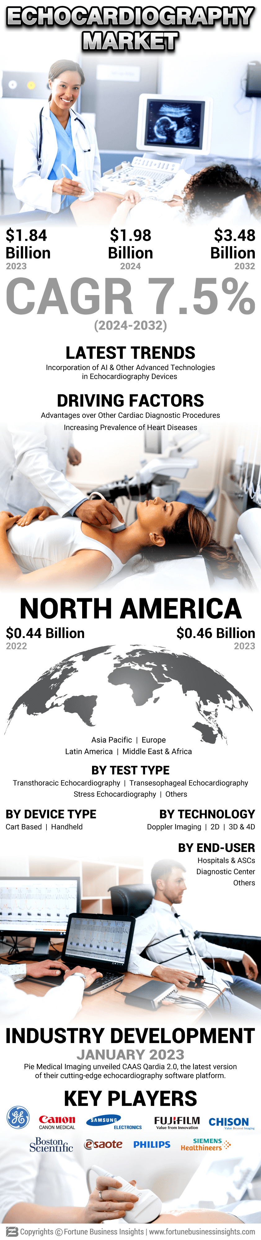 Echocardiography Market 
