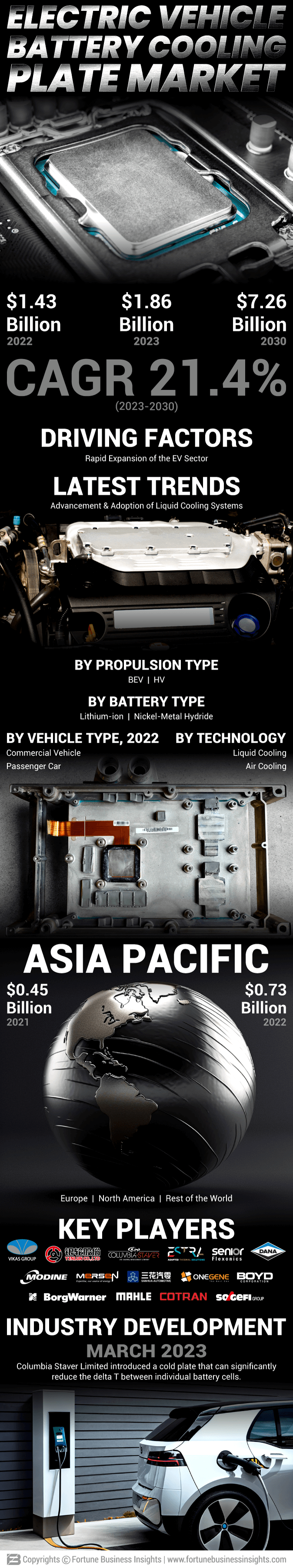 Electric Vehicle Battery Cooling Plate Market