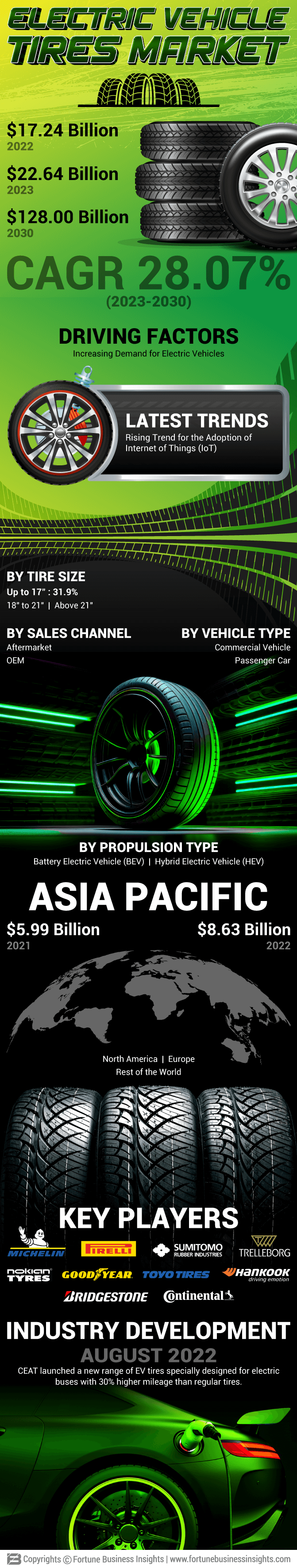 Electric Vehicle Tires Market