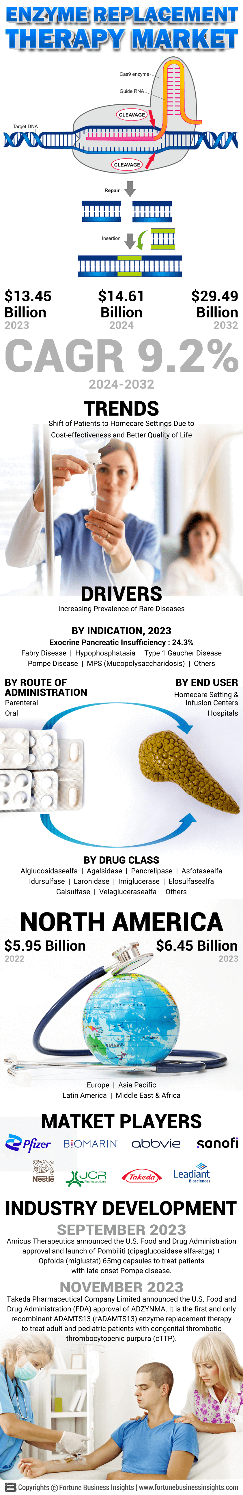 Enzyme Replacement Therapy Market