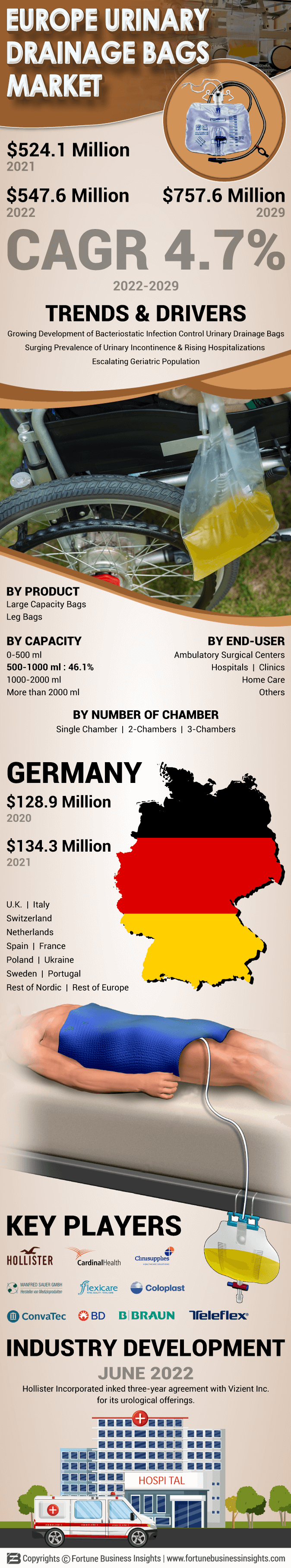 Europe Urinary Drainage Bags Market