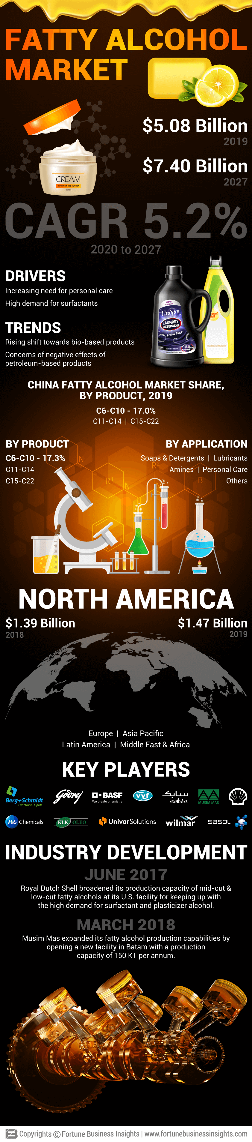 Fatty Alcohols Market