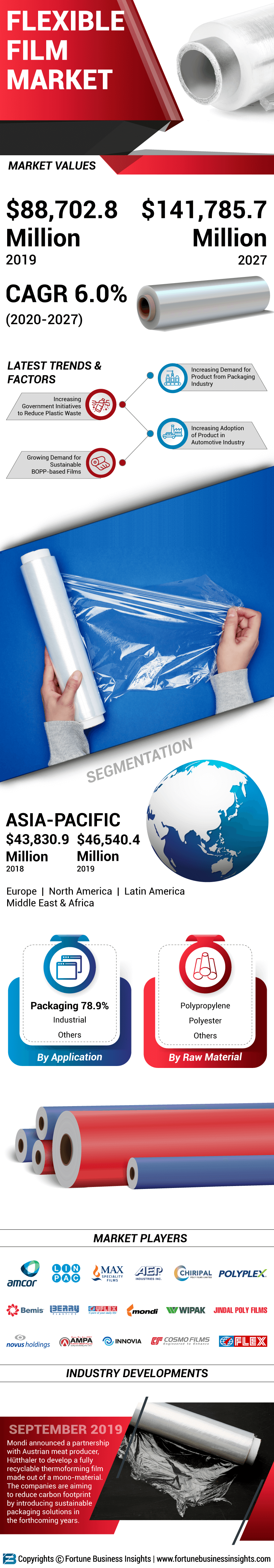 Flexible Film Market 