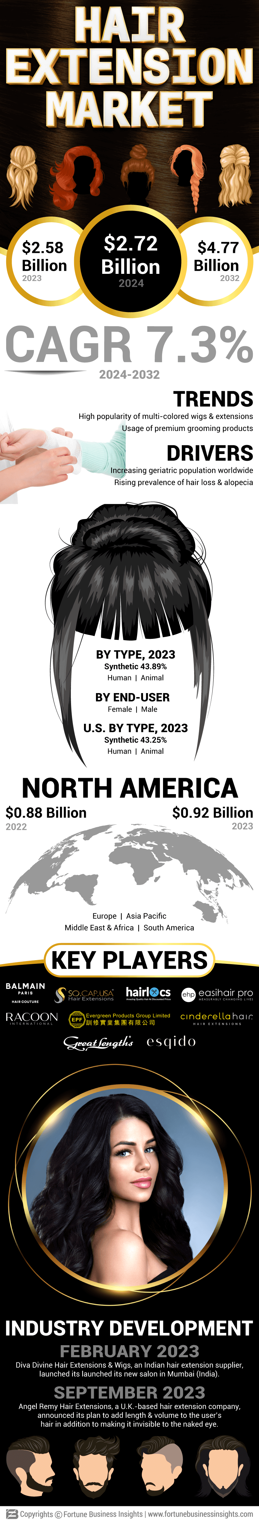 Hair Extension Market