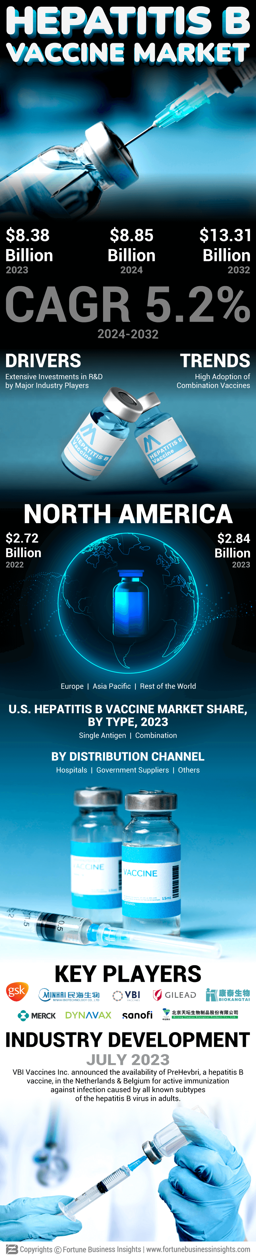 Hepatitis B Vaccine Market